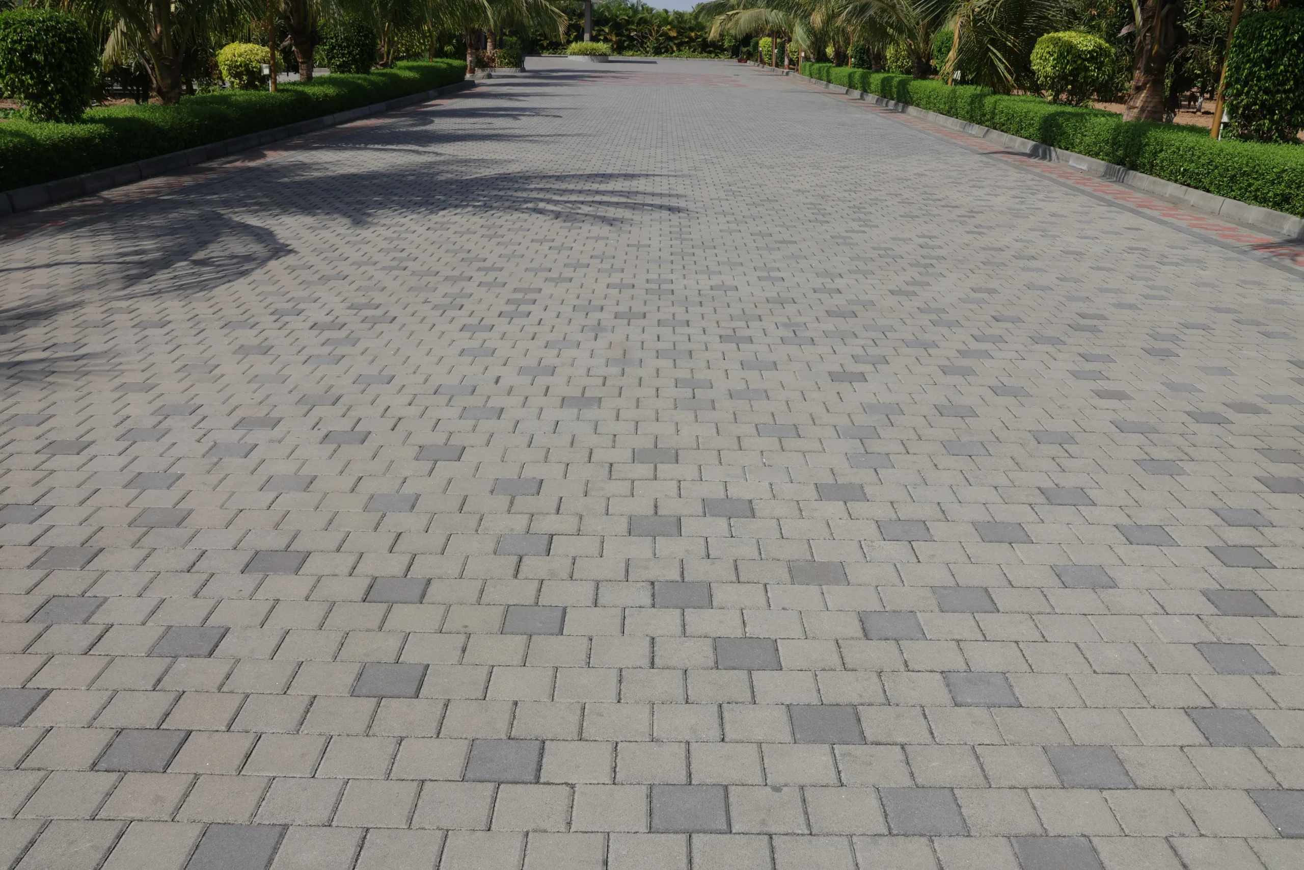 Sai Parishar — landscape edge