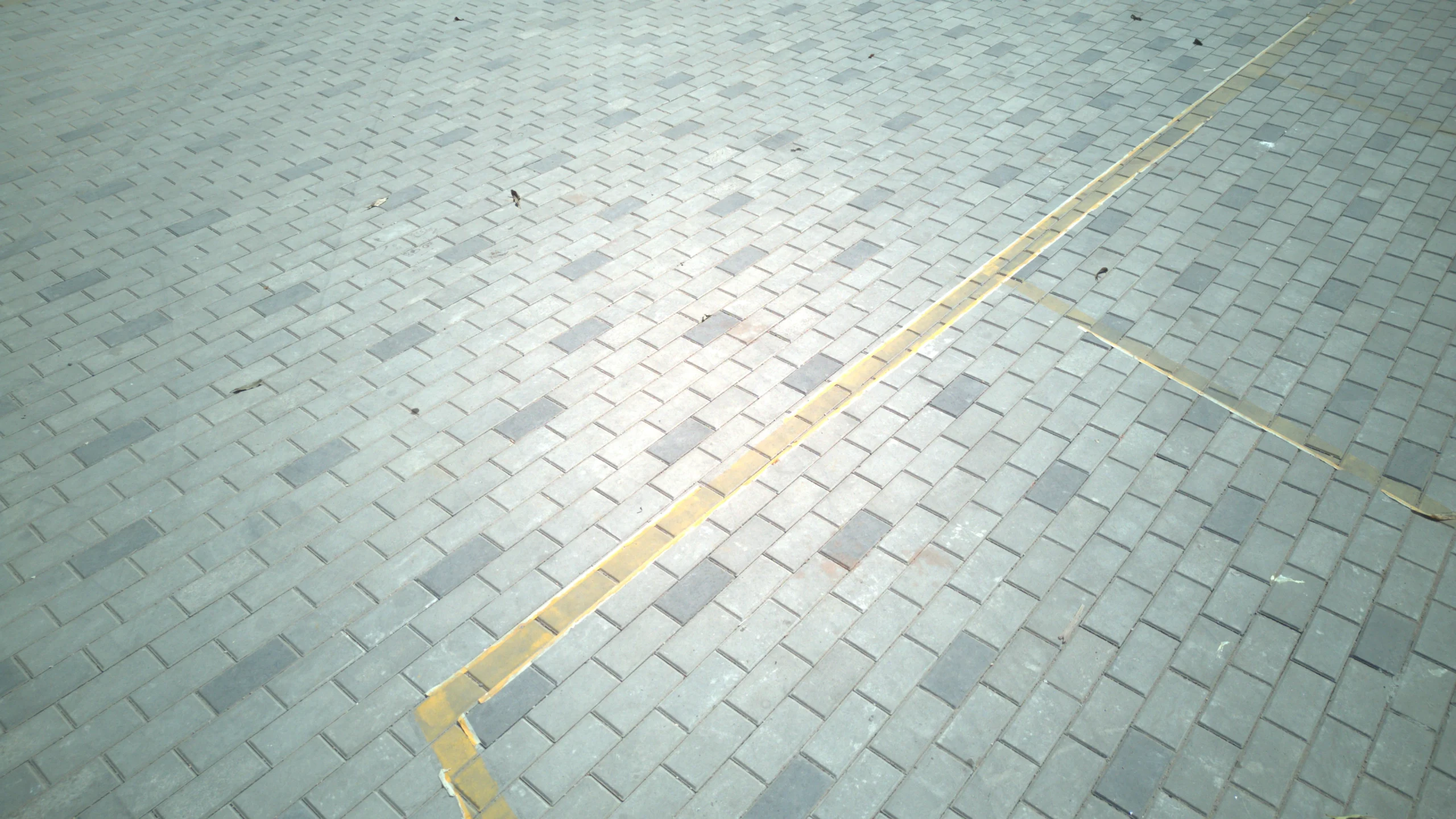 Eco-Parkside — walkway detail